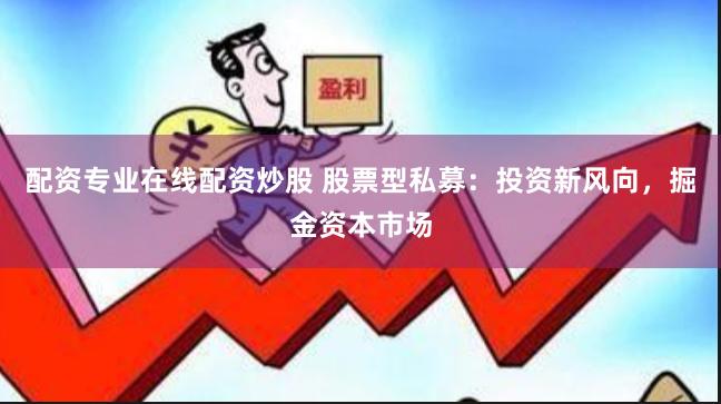 配资专业在线配资炒股 股票型私募：投资新风向，掘金资本市场