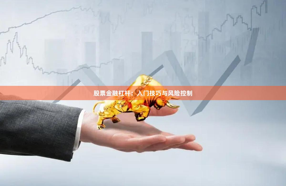 股票金融杠杆：入门技巧与风险控制